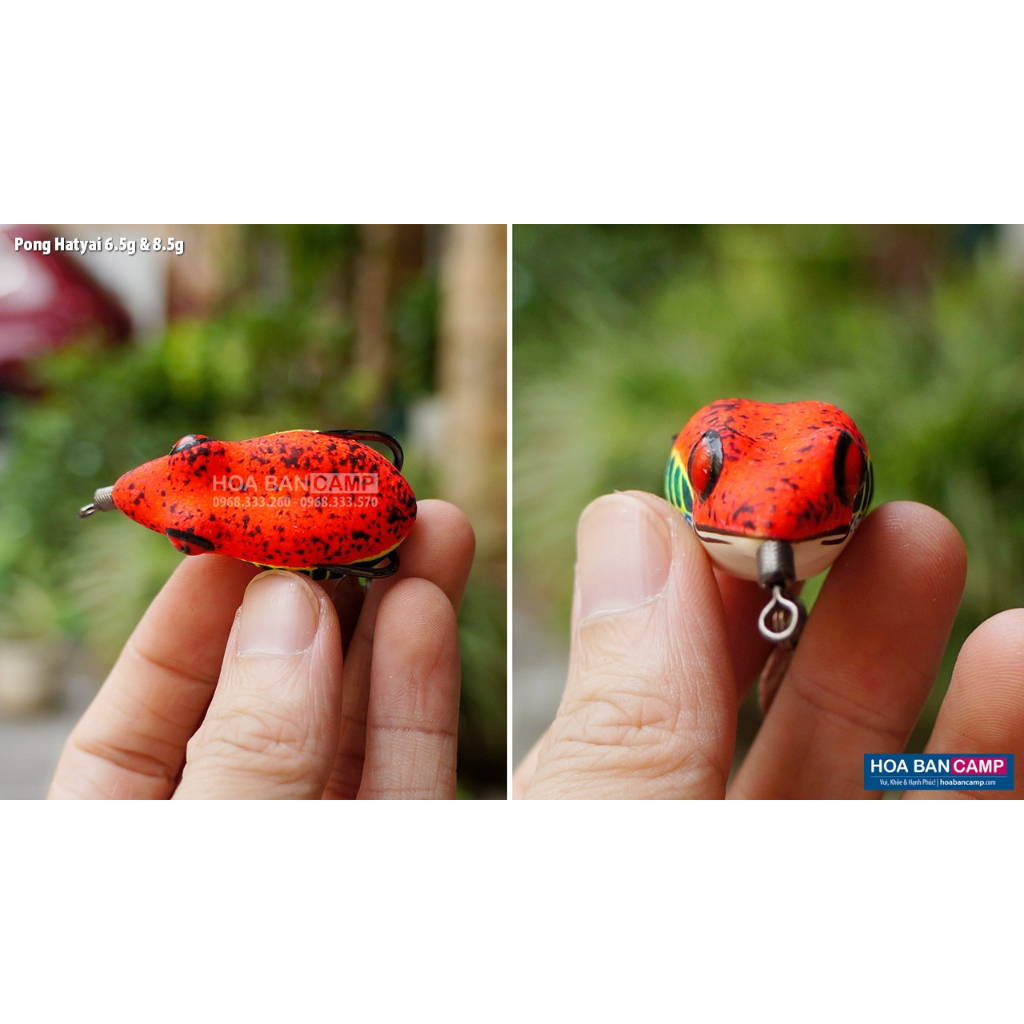 Nhái Hơi Pong Hatyai - Thailand | 6.5g - 8.5g