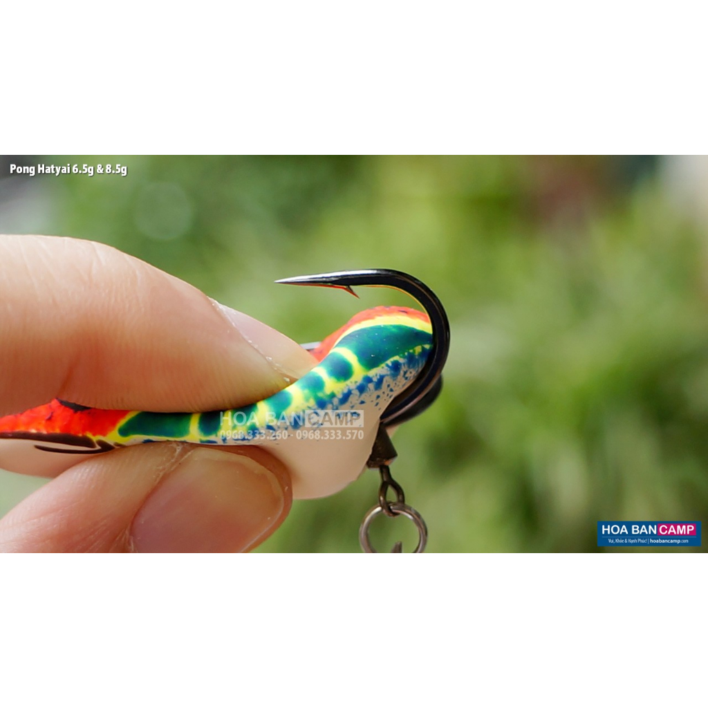 Nhái Hơi Pong Hatyai - Thailand | 6.5g - 8.5g