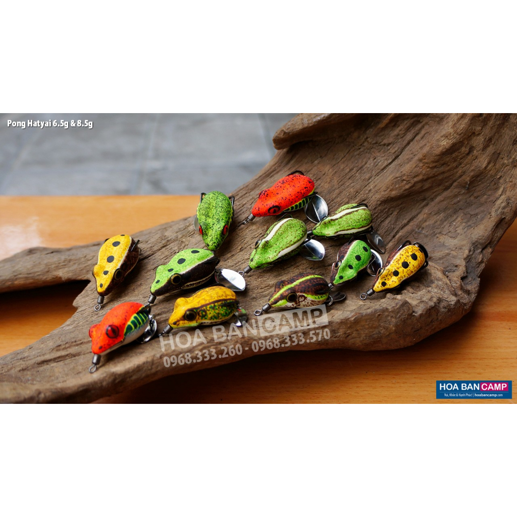 Nhái Hơi Pong Hatyai - Thailand | 6.5g - 8.5g