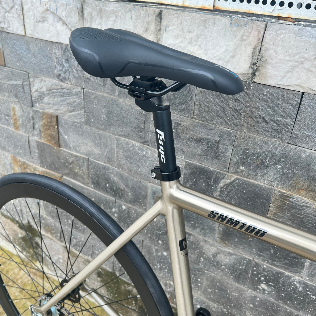 Xe đạp fixed gear TSUNAMI SNM100 cơ bản - Màu Silver Gold