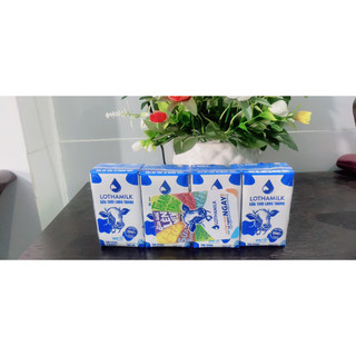  Sữa tươi tiệt trùng Lothamilk 110ml 