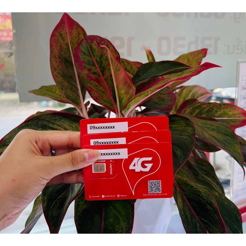 Sim Viettel 4G giá Thanh lý mua cho hoc sinh, sinh viên