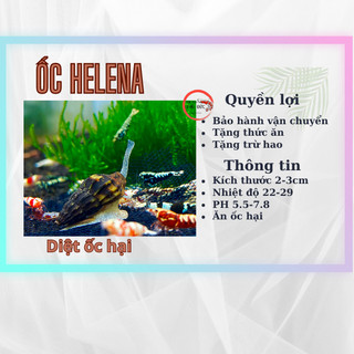 Helena 5c diệt ốc hại bể thuỷ sinh