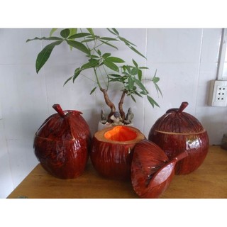 bình giữ nhiệt ấm trà trái dừa