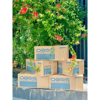 Xốp xanh oasis cắm hoa tươi hoa sáp