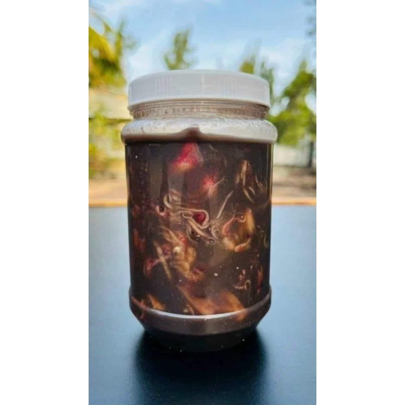 Mắm mực Bình Định .