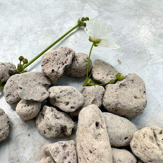 Đá lông vũ thủy sinh 1kg (1-2cm)