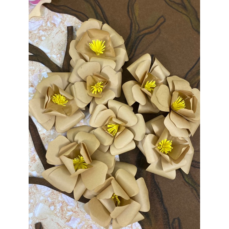 Bông hoa bàng giấy xi măng, kích thươc 10cm,15cm ,18 cm, 20cm về kết lên hoa 3 lớp