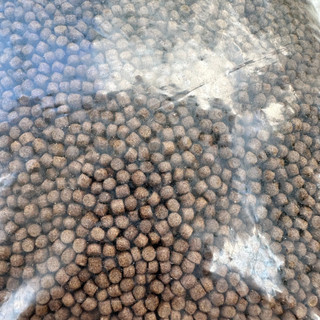 Thức ăn cá ba đuôi, chép cảnh 2kg