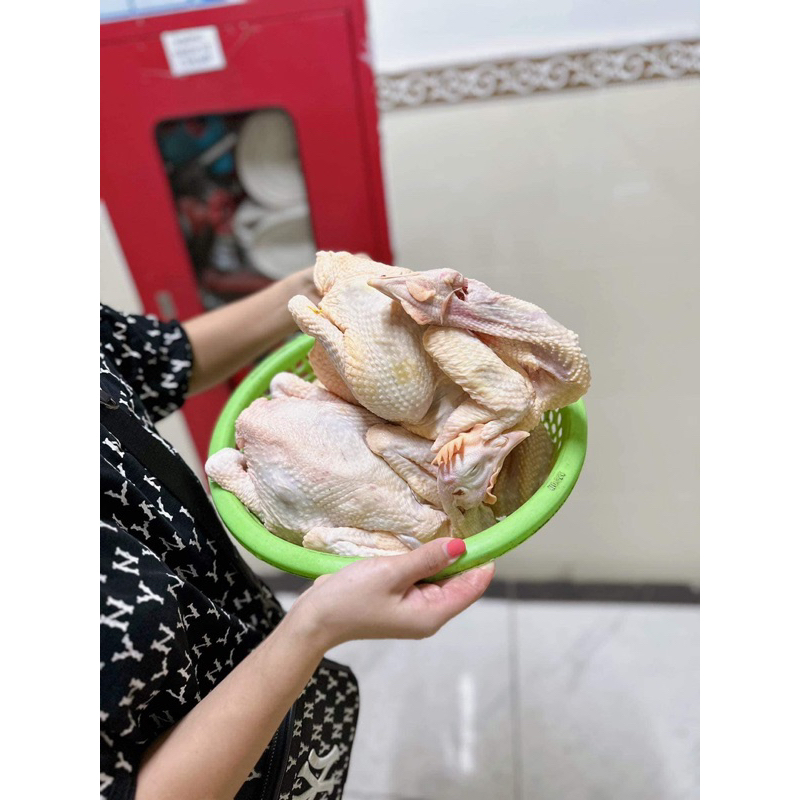 KAFood - Gà ri thịt sạch