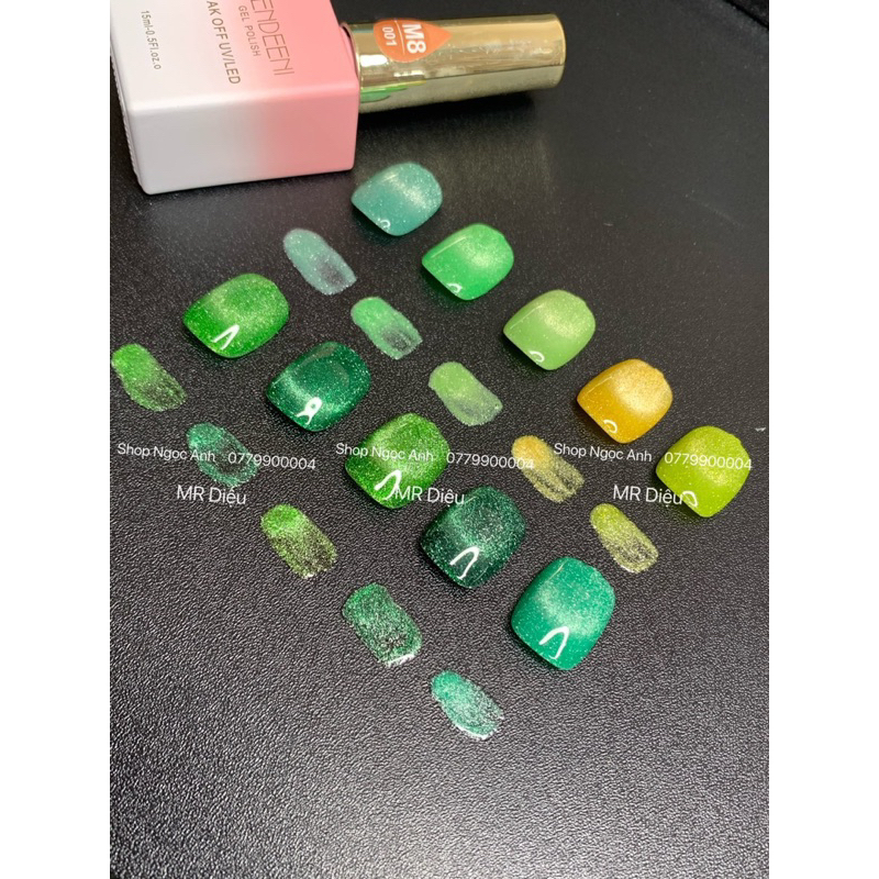 Set mắt mèo nhũ 9D set 10 chai sơn tặng kèm bản màu và 1 cây hơ mắt mèo💅💅💅