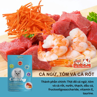 (Combo 12 Gói) Pate Catchy Cho Mèo Từ Thịt Thật 70g