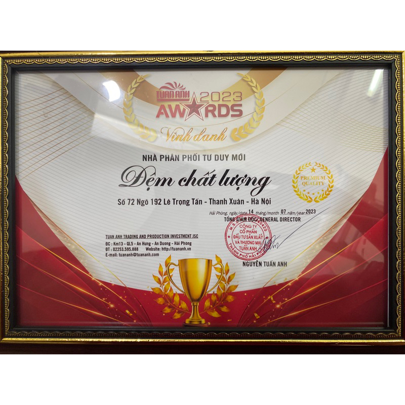 Đệm Bông Cao su Titanium 3 mảnh, hàng Kim Cương chính hãng, nâng đỡ tối ưu đường cong cơ thểg