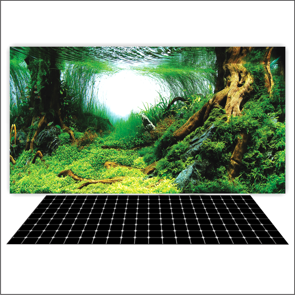 Tranh 3d Decal có sẵn keo, Tranh Dán Bể Cá Thủy Sinh, Bể Cá Rồng (Tranh Dán Lưng)