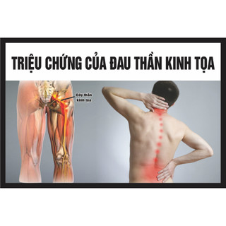 Tranh spa đông y 3 tranh ( 40x60 x 3 tranh )