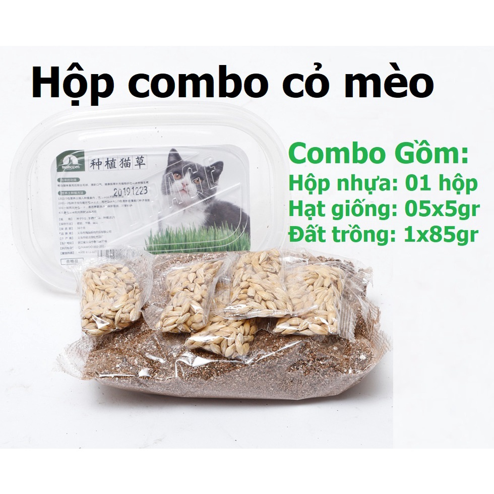 Combo trồng cỏ mèo - cỏ lúa mạch cho mèo (Hạt Giống Cỏ Mèo + Hộp Trồng)
