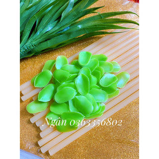 Vảy Nhựa lên Rồng Phượng thành phẩm tráp lễ