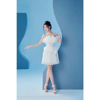 Đầm xoe dự tiệc cúp ngực hoa eo full size s/m/l/xl