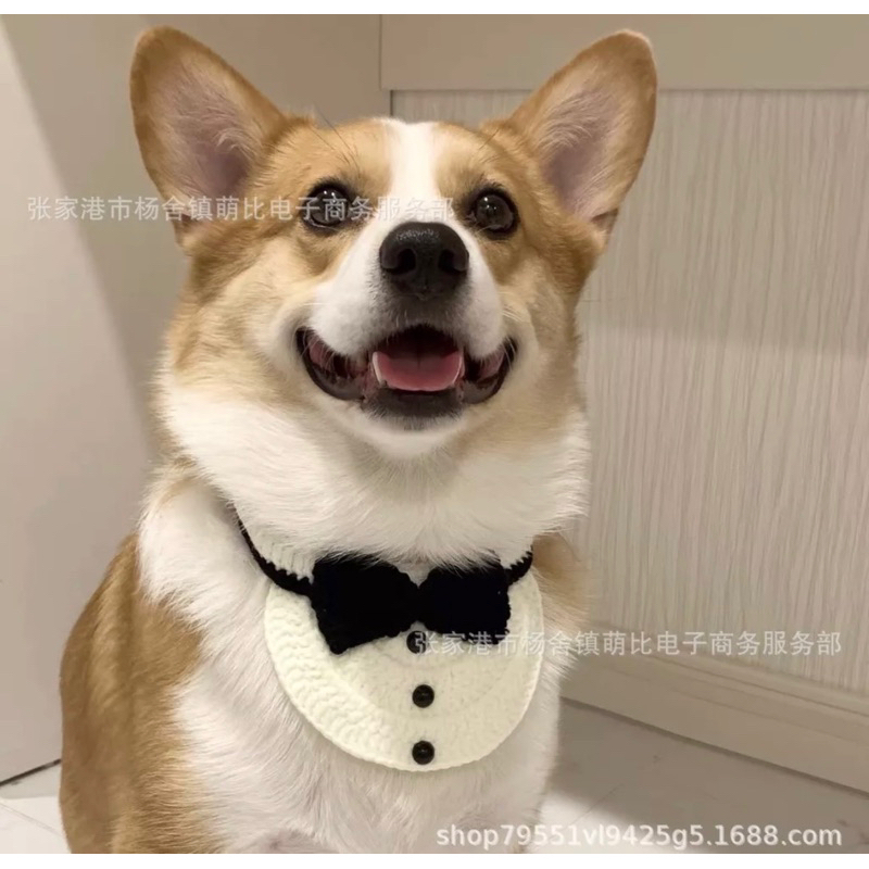 Yếm vest siêu cute dành cho chó mèo siêu xinh