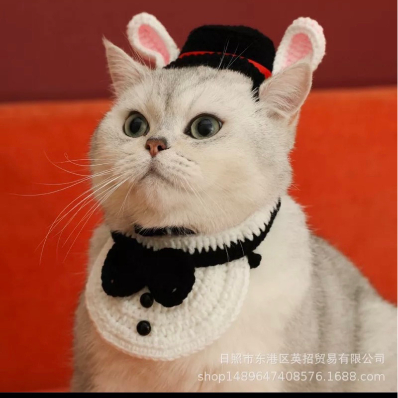 Yếm vest siêu cute dành cho chó mèo siêu xinh