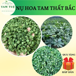 Nụ hoa tam thất bắc,nụ hoa tam thất vip 200g giúp ngủ ngon,dành cho người cao huyết áp ,an thần ,bồi bổ sức khỏe