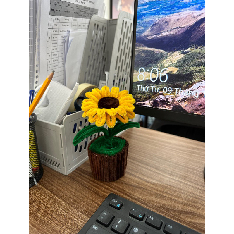 Chậu hoa hướng dương