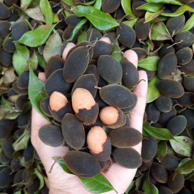 SAY, XAY TƯƠI MÙA MỚI TÚI 500GR