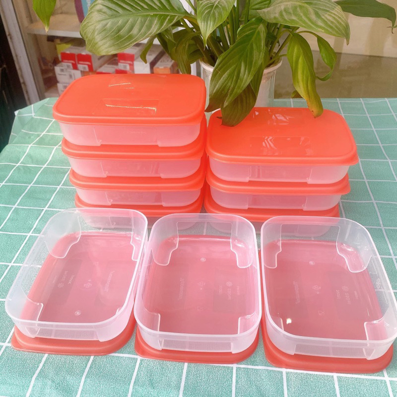 Hộp trữ đông dẹt 250ml Tupperware bảo hành trọn đời