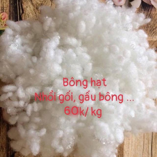 1 kg bông hạt nhồi gối