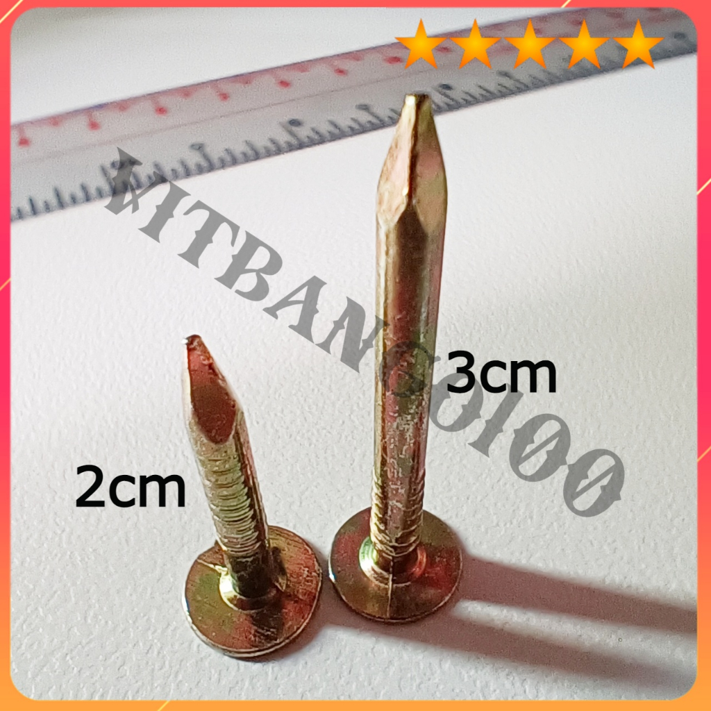 Đinh Đầu To - Đinh Mũ To 2 Phân, 3 Phân - Đinh Thép Loại Tốt