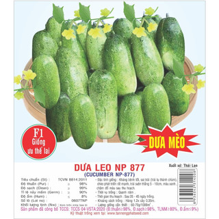 Hạt giống dưa leo mèo f1 np877 0.5gr