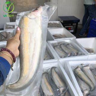[HỎA TỐC] Cá Thác Lác Trứng Rút Xương VITOT