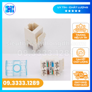 Nhân mạng âm tường cat5 commscope amp 1375191-1