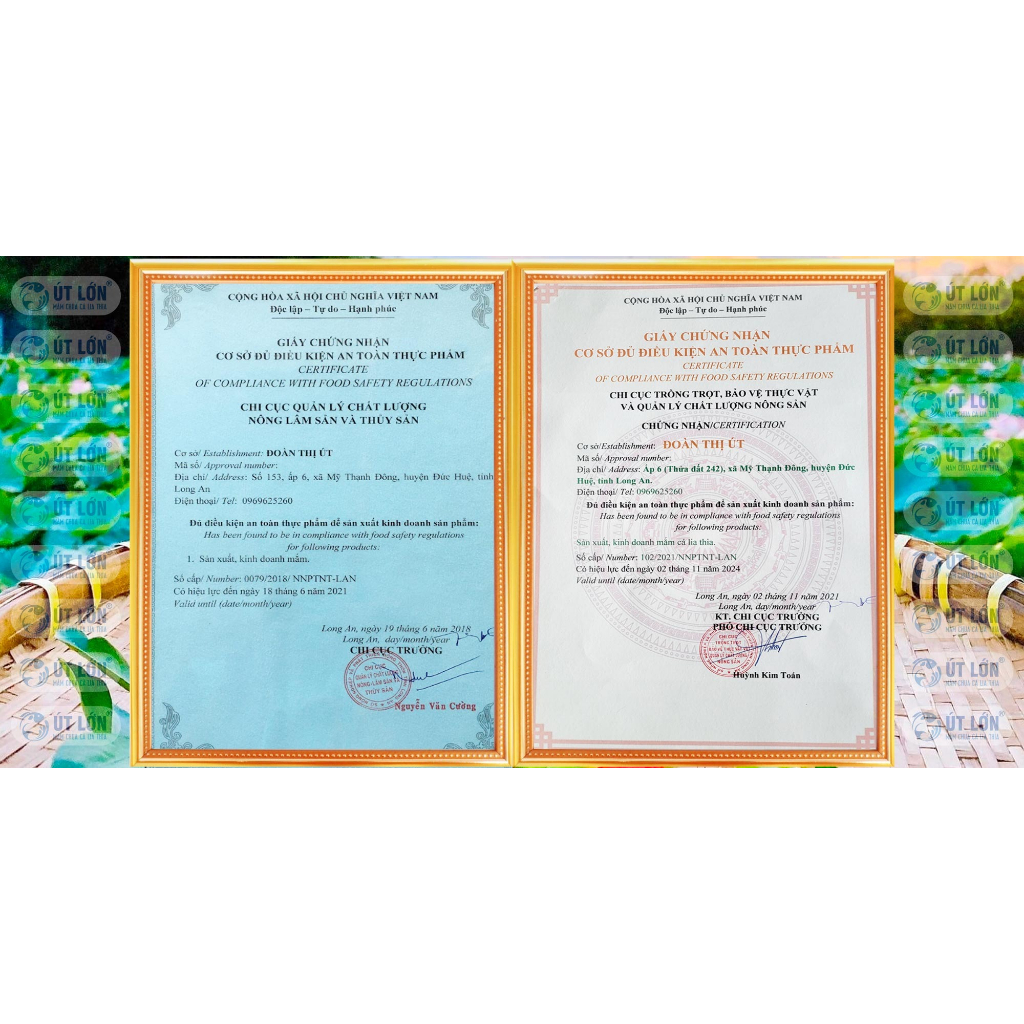 Mắm chua cá lia thia Út Lớn Long An - 500g