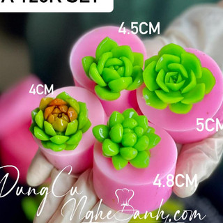 Khuôn silicon sen đá xương rồng set 4 khuôn 4-5cm