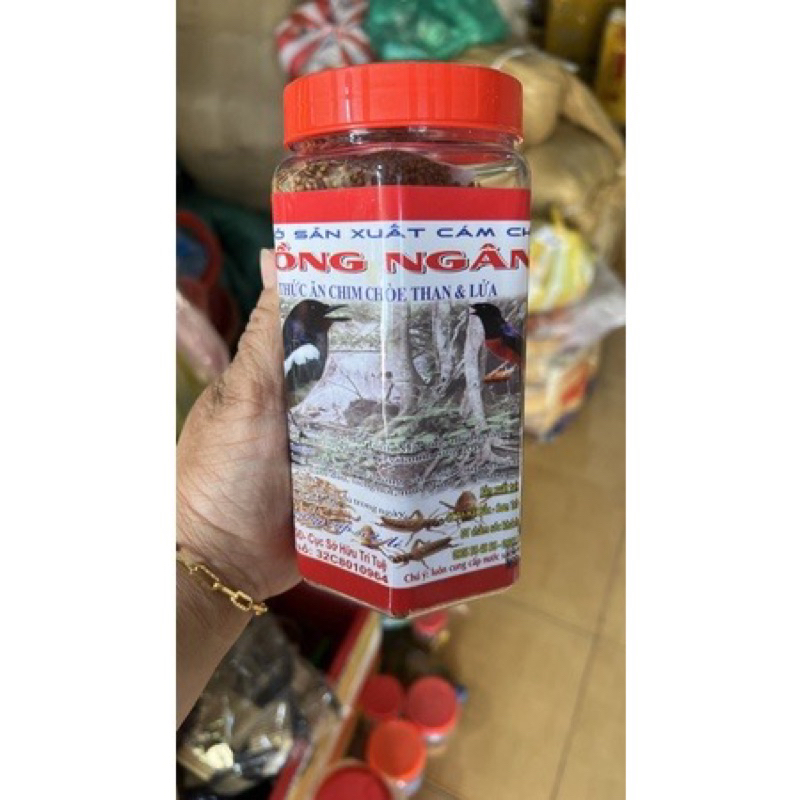 Cám hồng ngân: mào-choè-mi-khướu