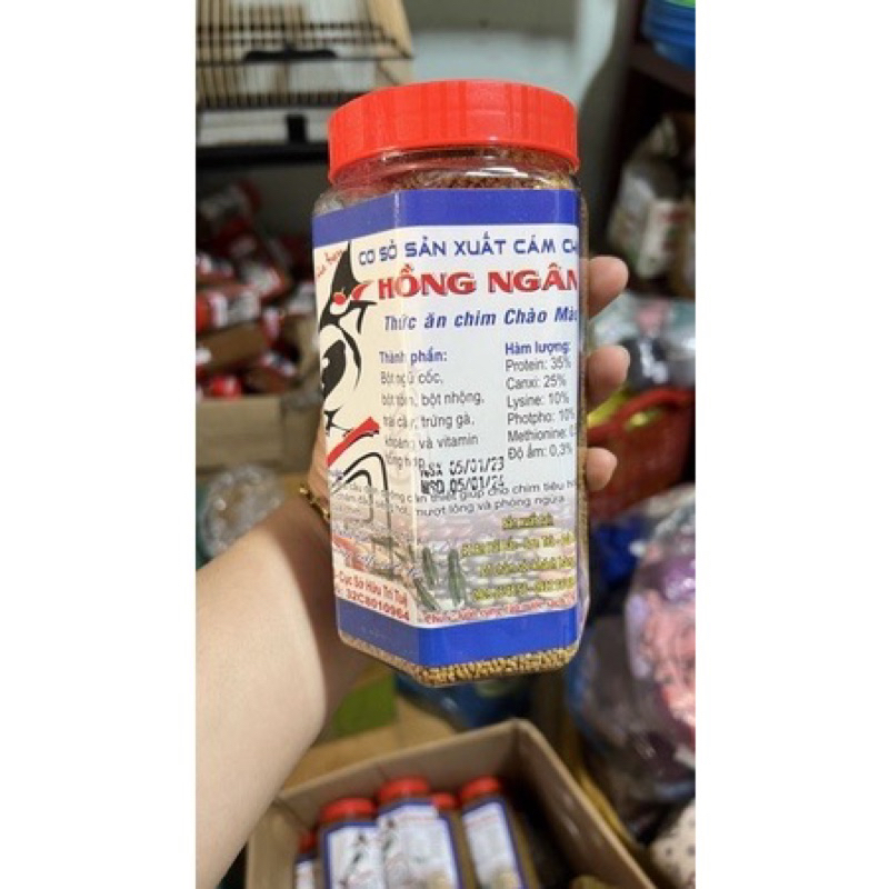 Cám hồng ngân: mào-choè-mi-khướu