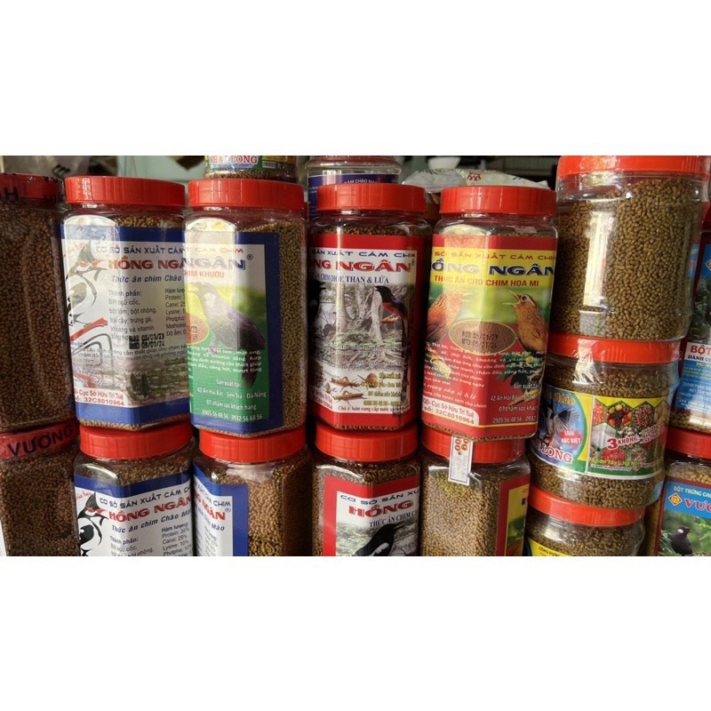 Cám hồng ngân: mào-choè-mi-khướu