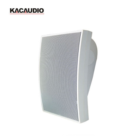 Loa hộp treo tường 20W, 2 đường tiếng, nghe nhạc bolero cho quán cafe, nhà hàng