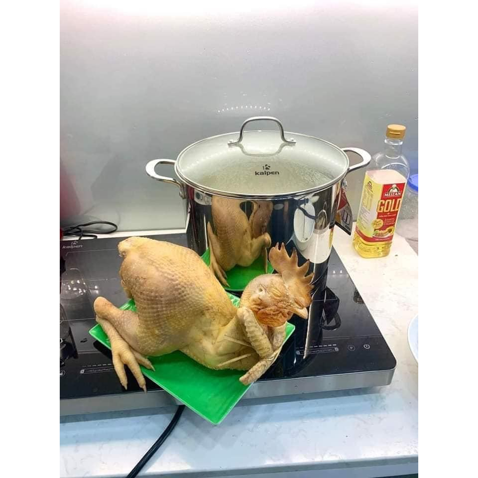 Nồi luộc gà Kalpen Đức 28cm 11L cao 20cm