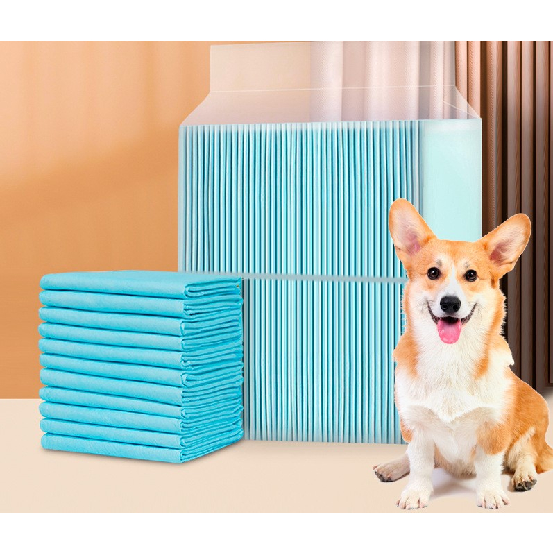 Tả lốt chuồng, khay vệ sinh cho chó, mèo