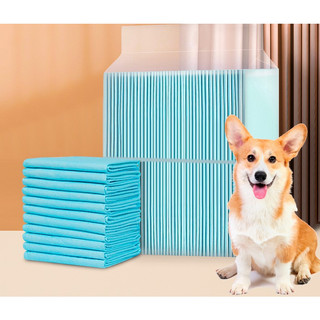 Tả lốt chuồng, khay vệ sinh cho chó, mèo