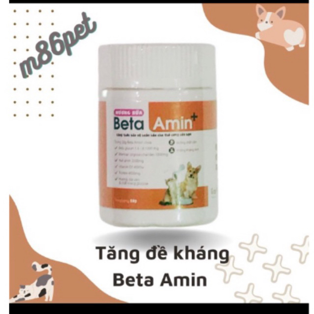 Bột Beta amin, tăng đề kháng, kích thích ăn uống, hỗ trợ hô hấp hũ 50gr cho mèo