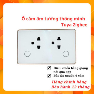 Ổ cắm thông minh đôi âm tường zigbee Tuya Viền Vàng Cao Cấp
