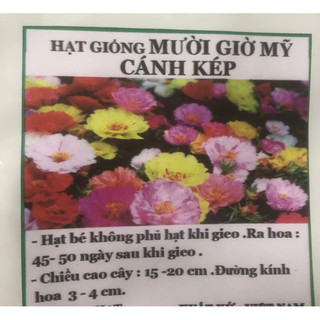 Hạt giống Hoa mười giờ Mix (Portulaca) 💐