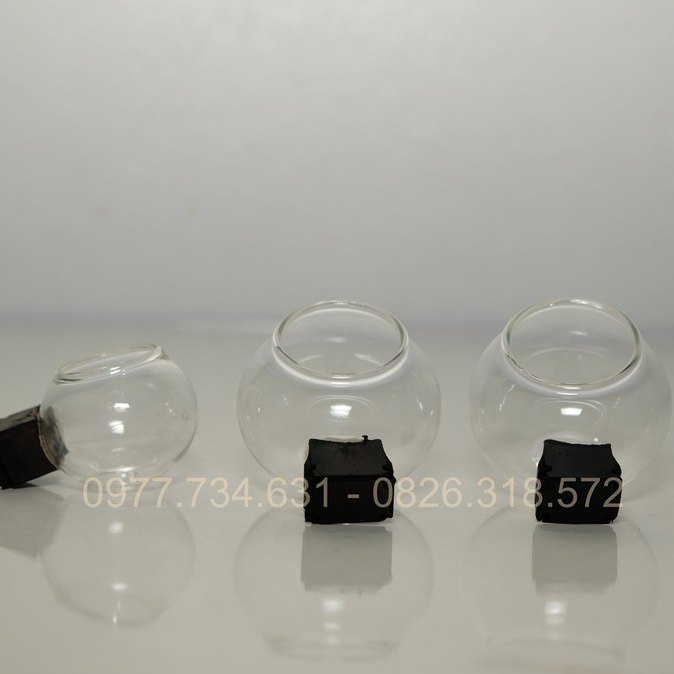 Cóng Ăn Thủy Tinh Cho Chim Chào Mào Cao Cấp Siêu Dày Phụ Kiện Kabosa