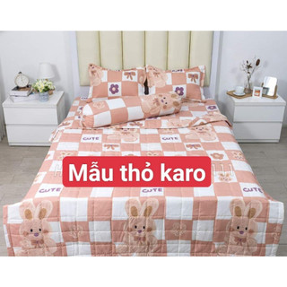 Bộ ga gối 3 món 1m2x2m,1m6x2m[Gồm 1 ga 2 vỏ gối nằm]