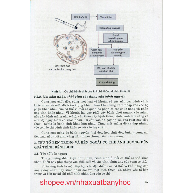 Sách - Sinh lý bệnh và miễn dịch Phần sinh lý bệnh học