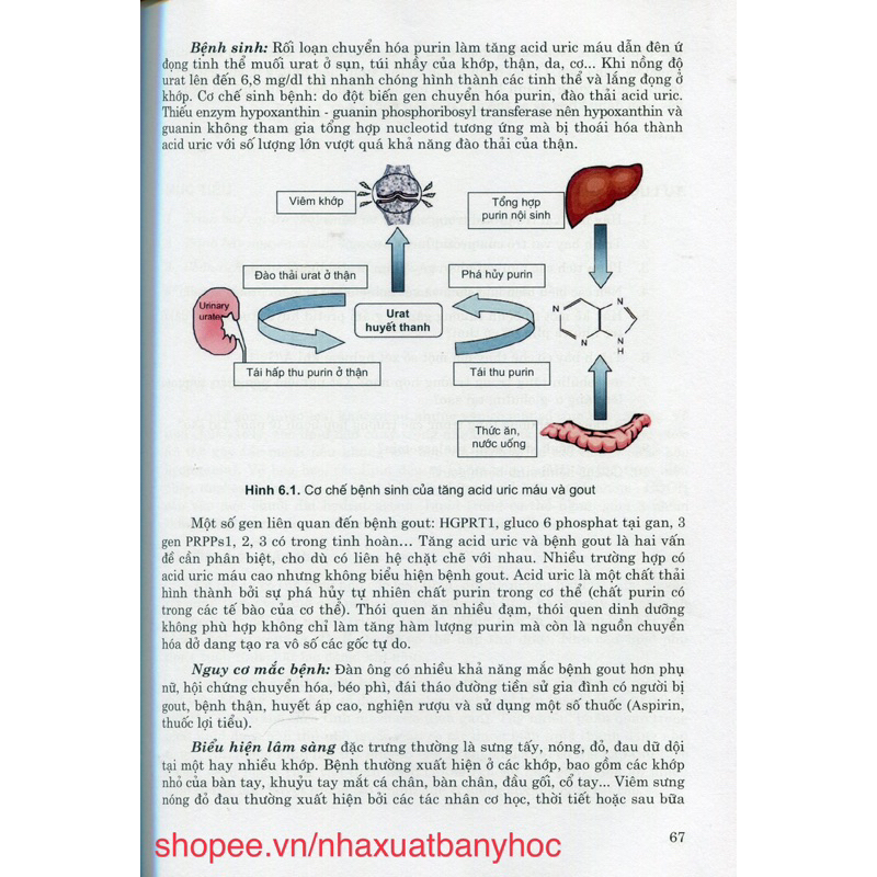 Sách - Sinh lý bệnh và miễn dịch Phần sinh lý bệnh học