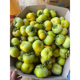 Hồng giòn mộc châu 1kí